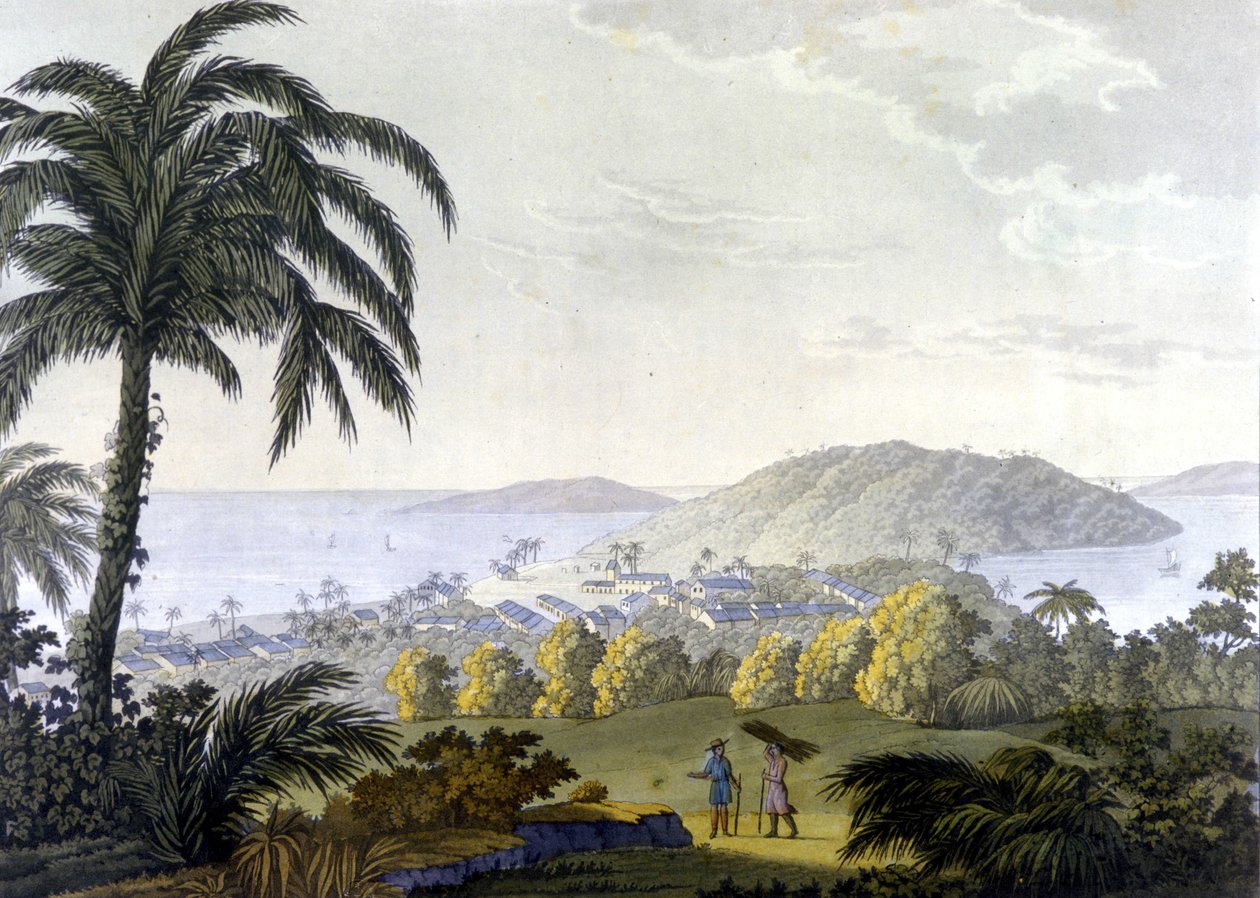 Brasil, vista da cidade de Ilhéus no estado da Bahia de Unknown artist