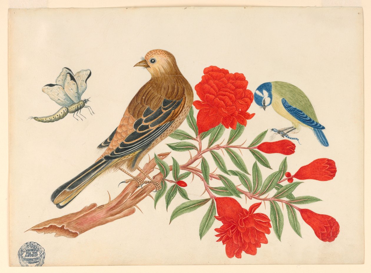 Pássaro marrom e preto e pássaro azul e amarelo no galho com flores vermelhas, caçando insetos de Unknown artist