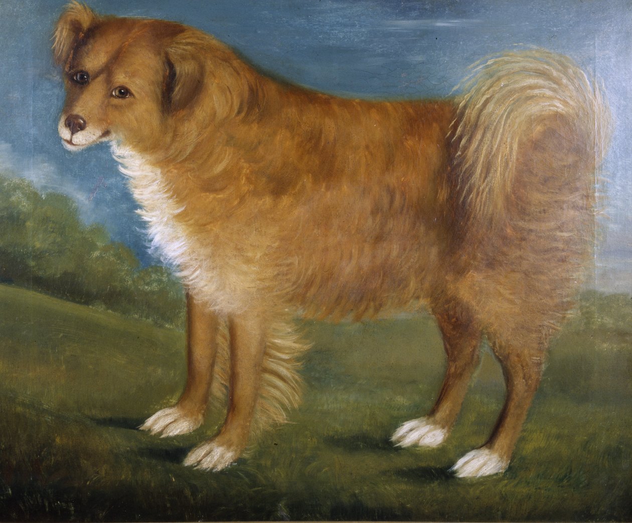 Brown Dog in a Landscape, c.1850 (óleo sobre tela) de Unknown artist