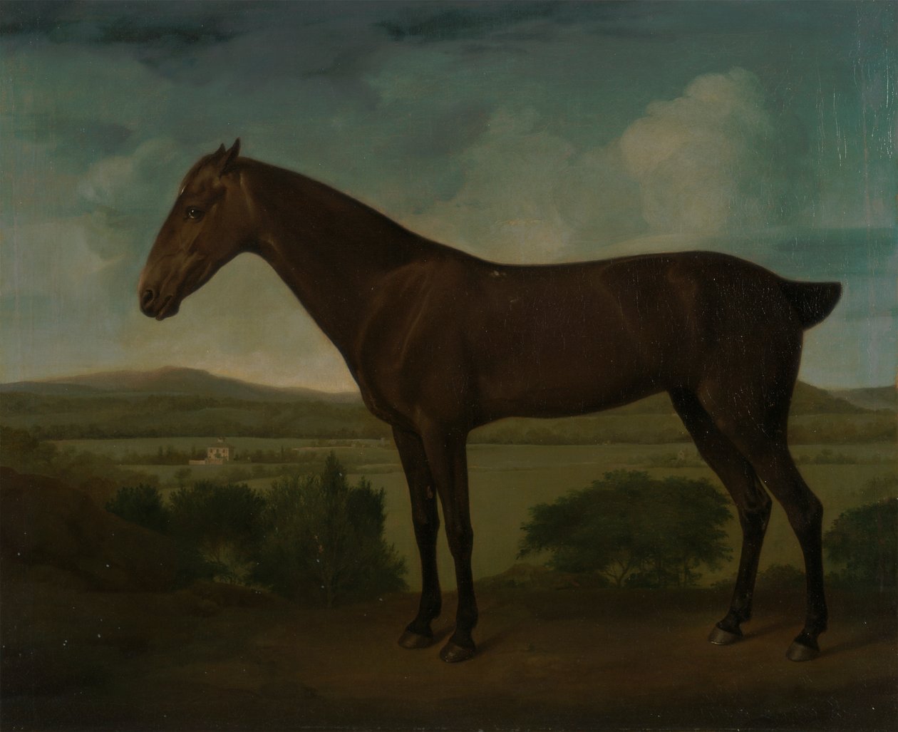 Cavalo Castanho numa Paisagem Montanhosa de Unknown artist