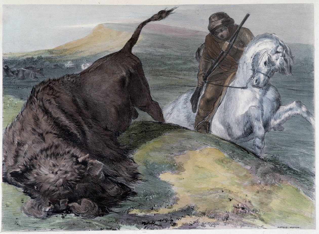 Canadian Huron Buffalo Hunt - em "Shyth