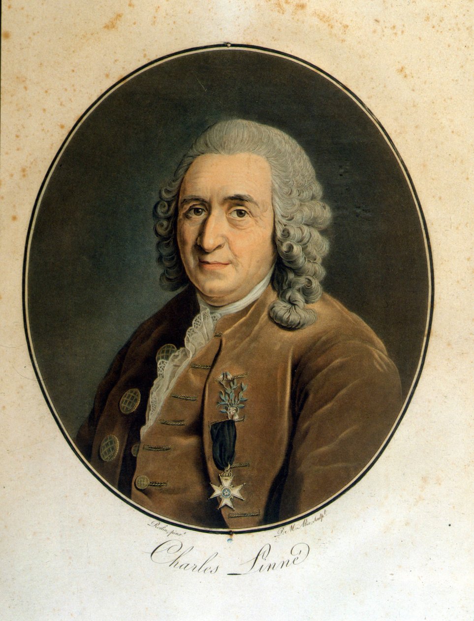 Carl Von Linné naturalista e escritor sueco (1707 - 1778) de Unknown artist