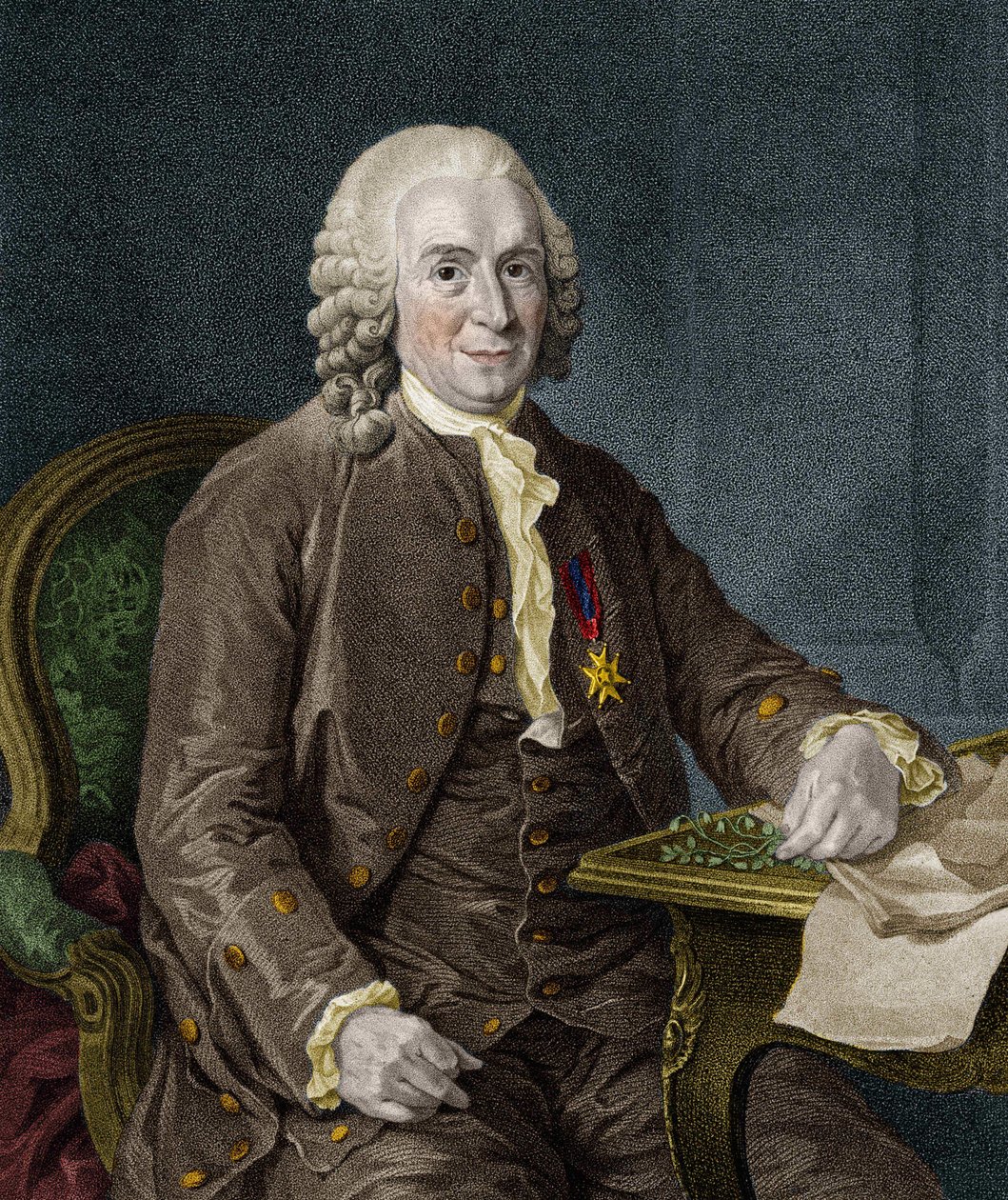 Carl Von Linné naturalista e escritor sueco (1707 - 1778). de Unknown artist