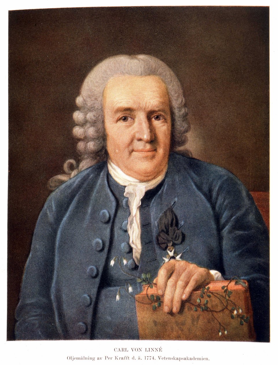 Carl Von Linné naturalista e escritor sueco de Unknown artist