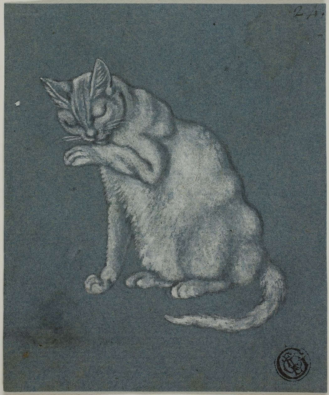 Pata de gato lambendo de Unknown artist