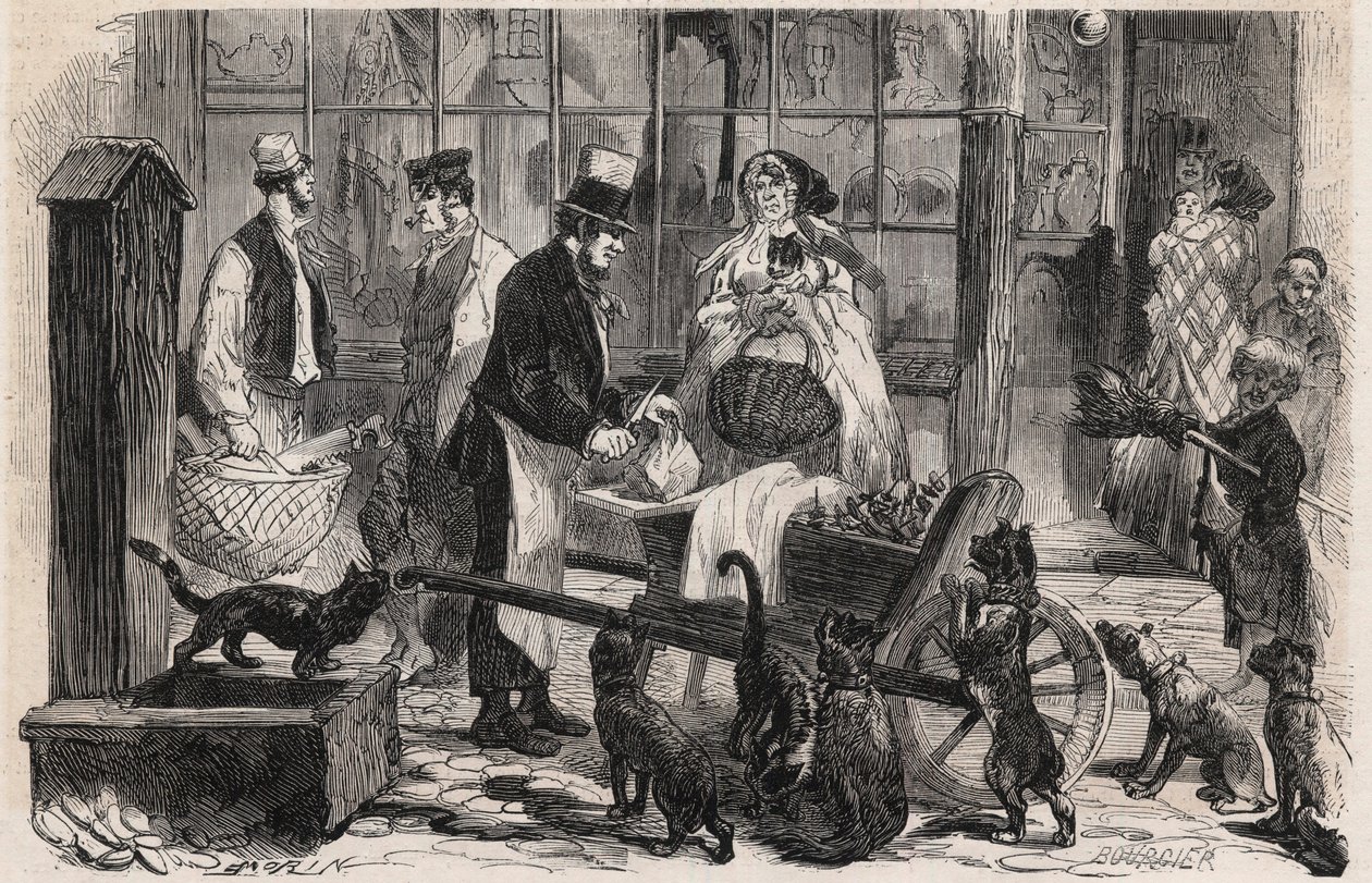 Homem da carne de gato (homem da carne de gato) numa rua do distrito de Westminster em Londres, um negociante ambulante de carne de cavalo para cães e gatos - Engraving In "The Illustrous World" (Gravura no "Mundo Ilustrado") de Unknown artist