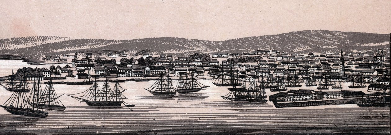 Christiania, Dinamarca: vista da cidade (Vista Geral). em "O mundo ilustra 168 vistas" Sem data (final do século XIX) de Unknown artist
