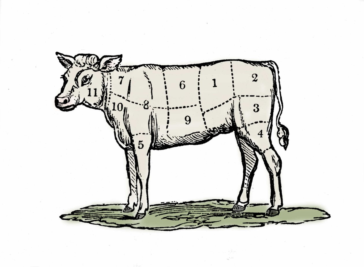Vitela de aperto. de Unknown artist