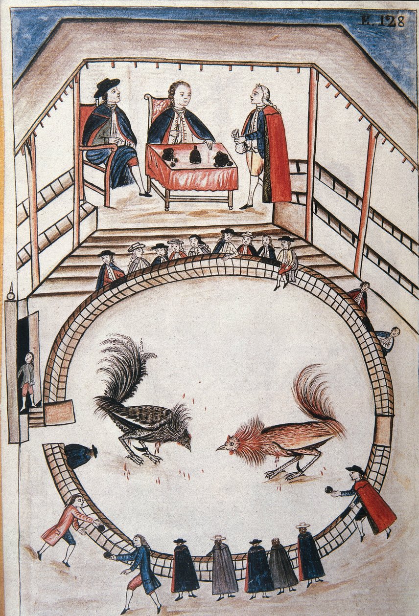 Luta de galos, um nobre assiste ao duelo, do livro "Trujillo del Peru" ou "Códice Martínez Compañón", de Baltazar Martinez Compañón y Bujanda, bispo de Trujillo (1782-1785) de Unknown artist