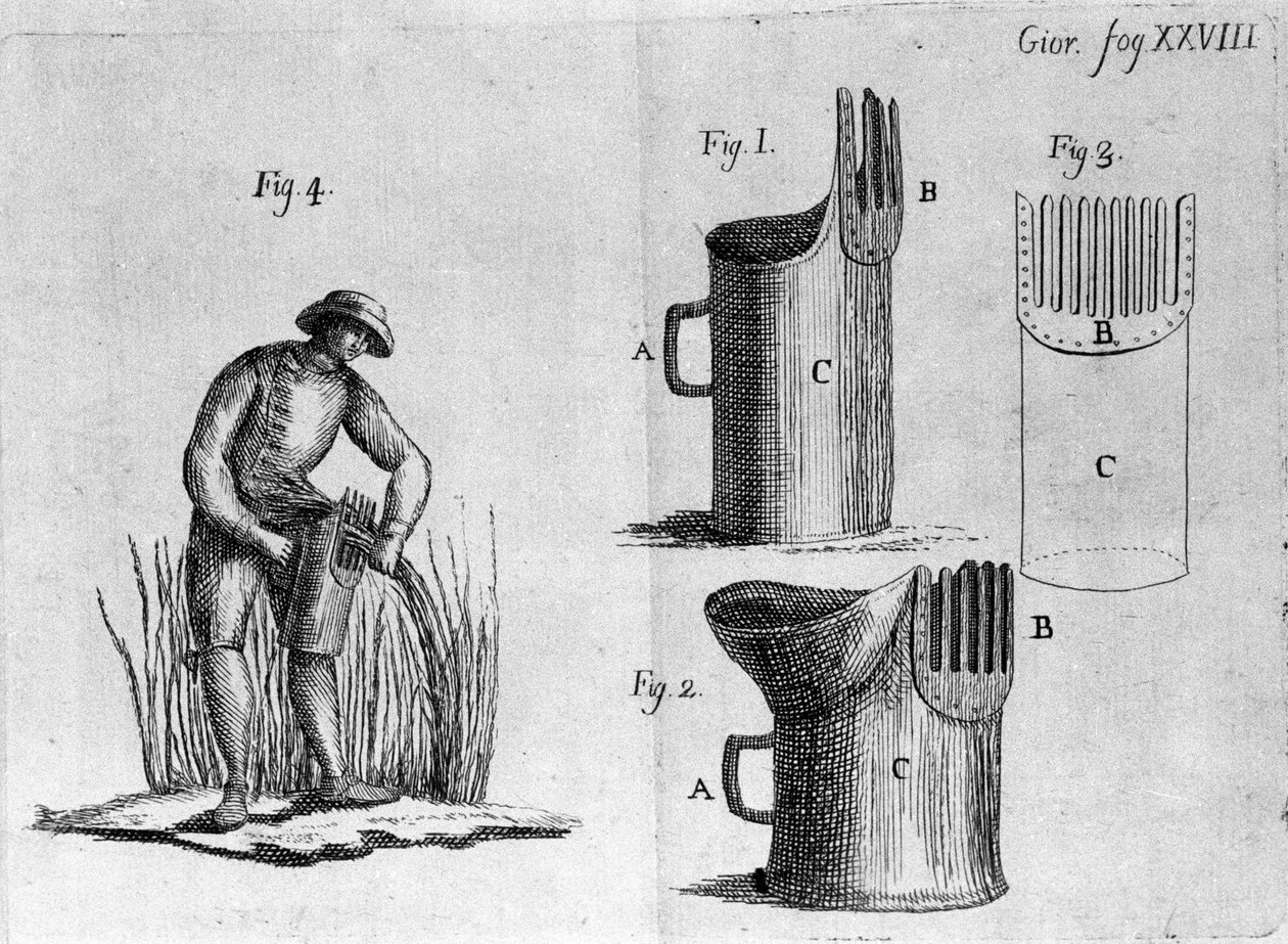 Combate a aveia. 1800 de Unknown artist