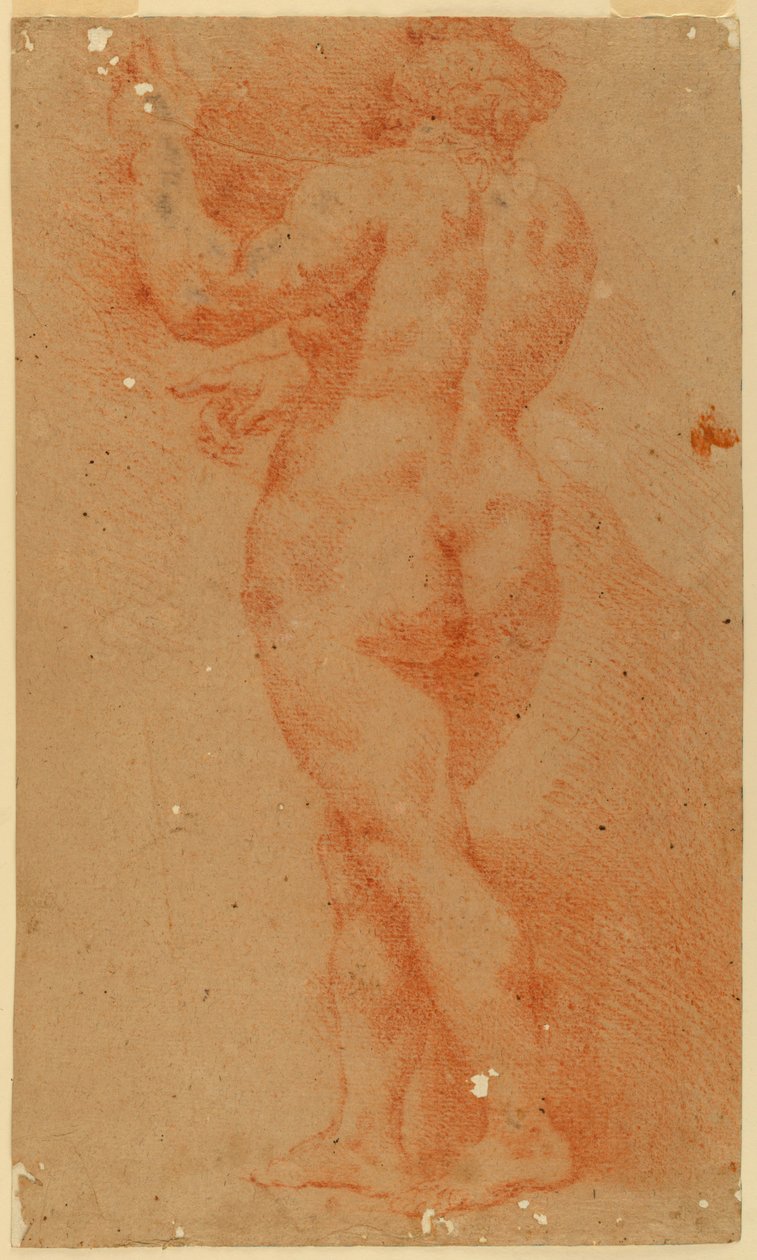 Estudo contraprova de uma mulher nua de Unknown artist