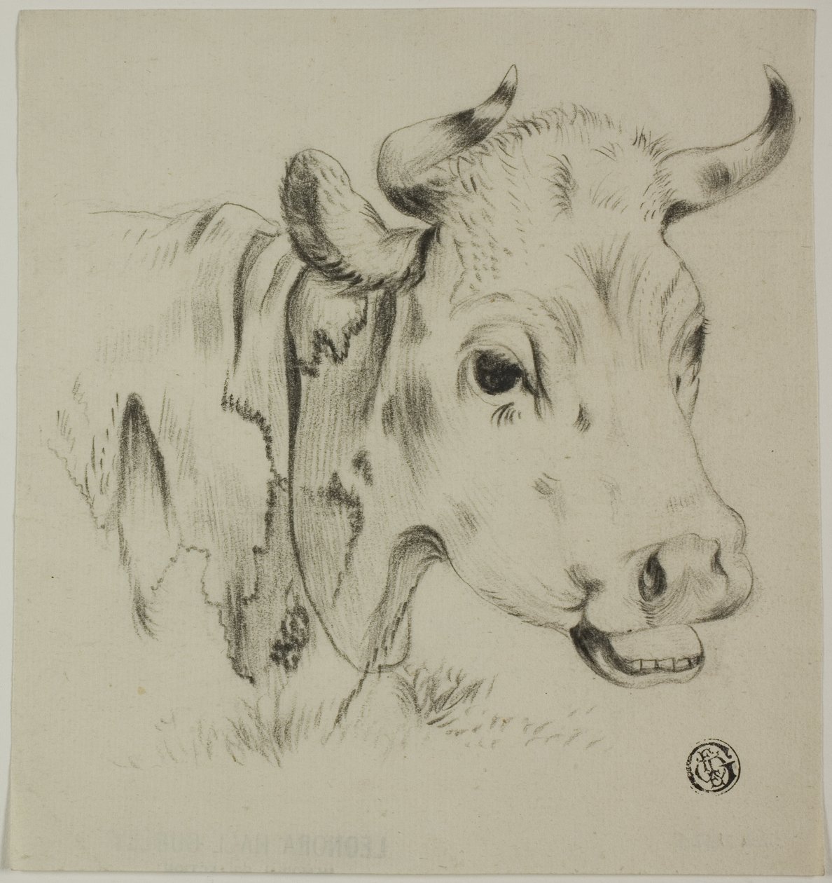 Cabeça de vaca de Unknown artist