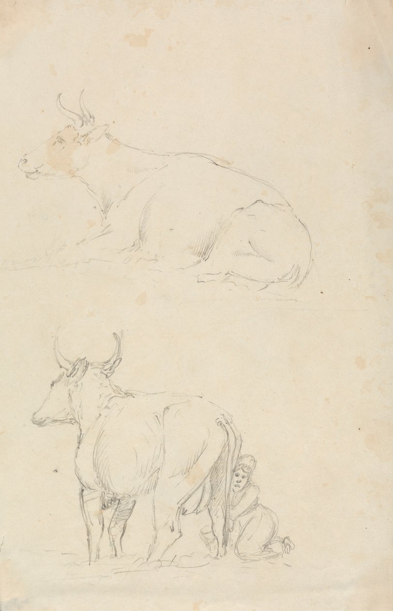 Vacas e Dama de Leite de Unknown artist