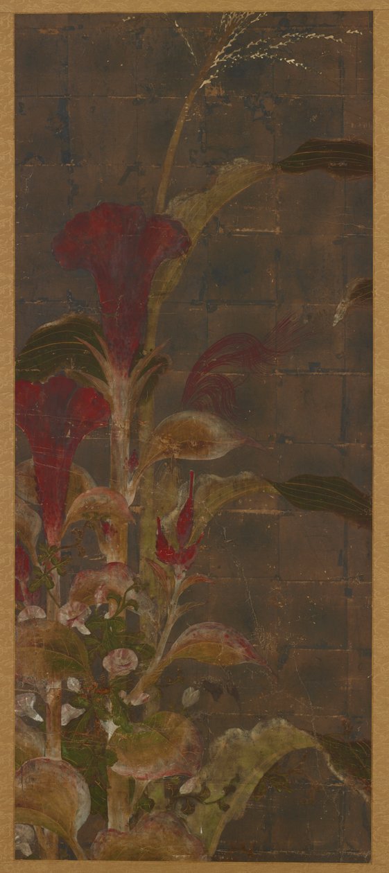 Coxcombs, milho e glória-da-manhã de Unknown artist