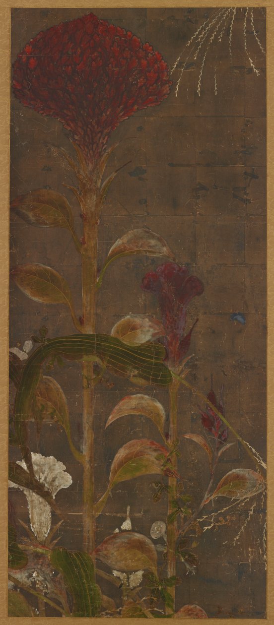 Coxcombs, milho e glória-da-manhã de Unknown artist