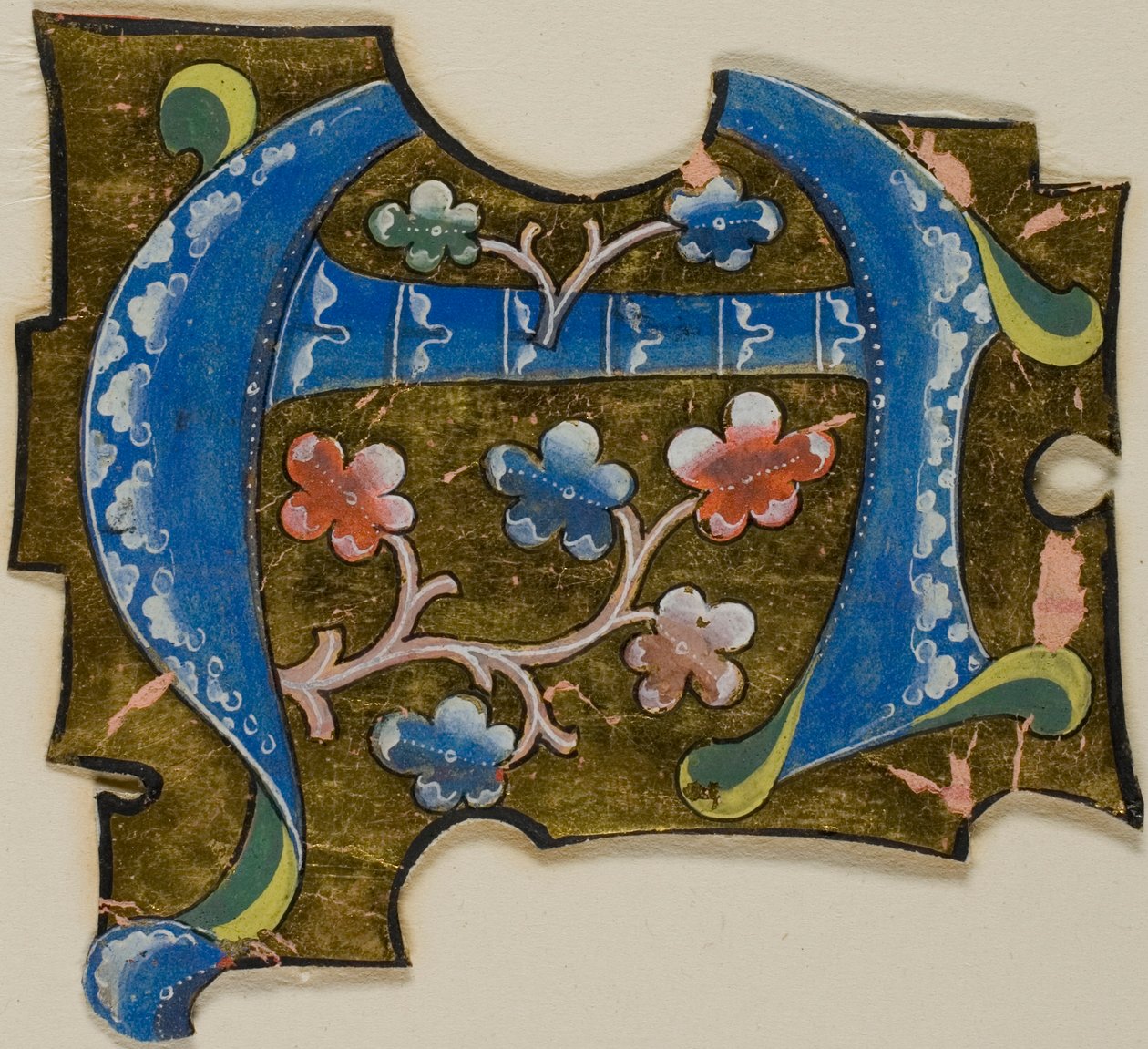 Inicial "A" decorada a azul com folhas de um manuscrito de Unknown artist