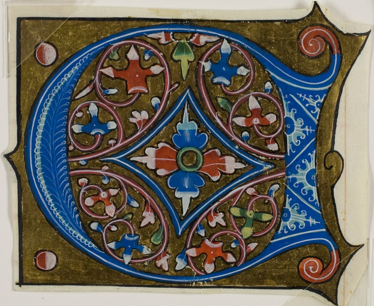 Inicial "D" decorada com folhas e duas bolas de um livro de coro de Unknown artist