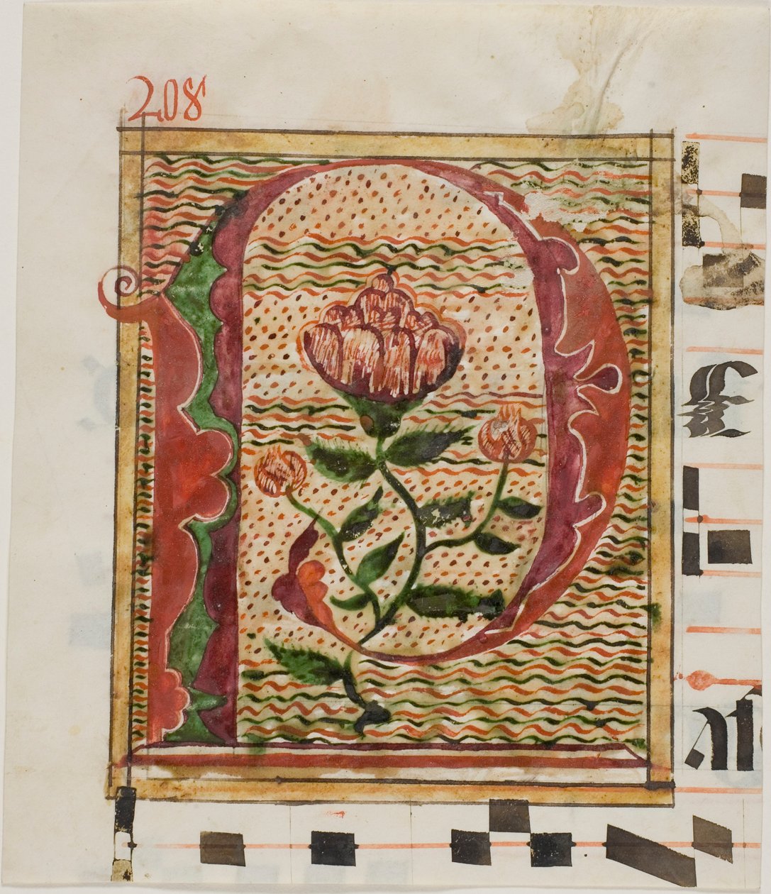 Inicial "P" decorada com flores de um manuscrito de Unknown artist
