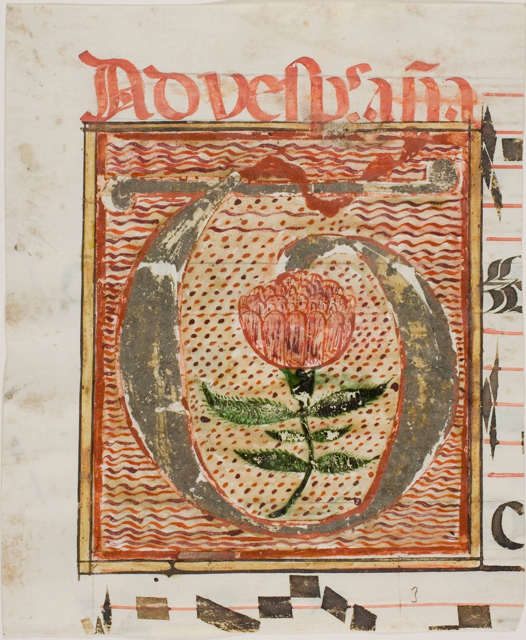 Inicial "T" decorada com flor de um manuscrito de Unknown artist