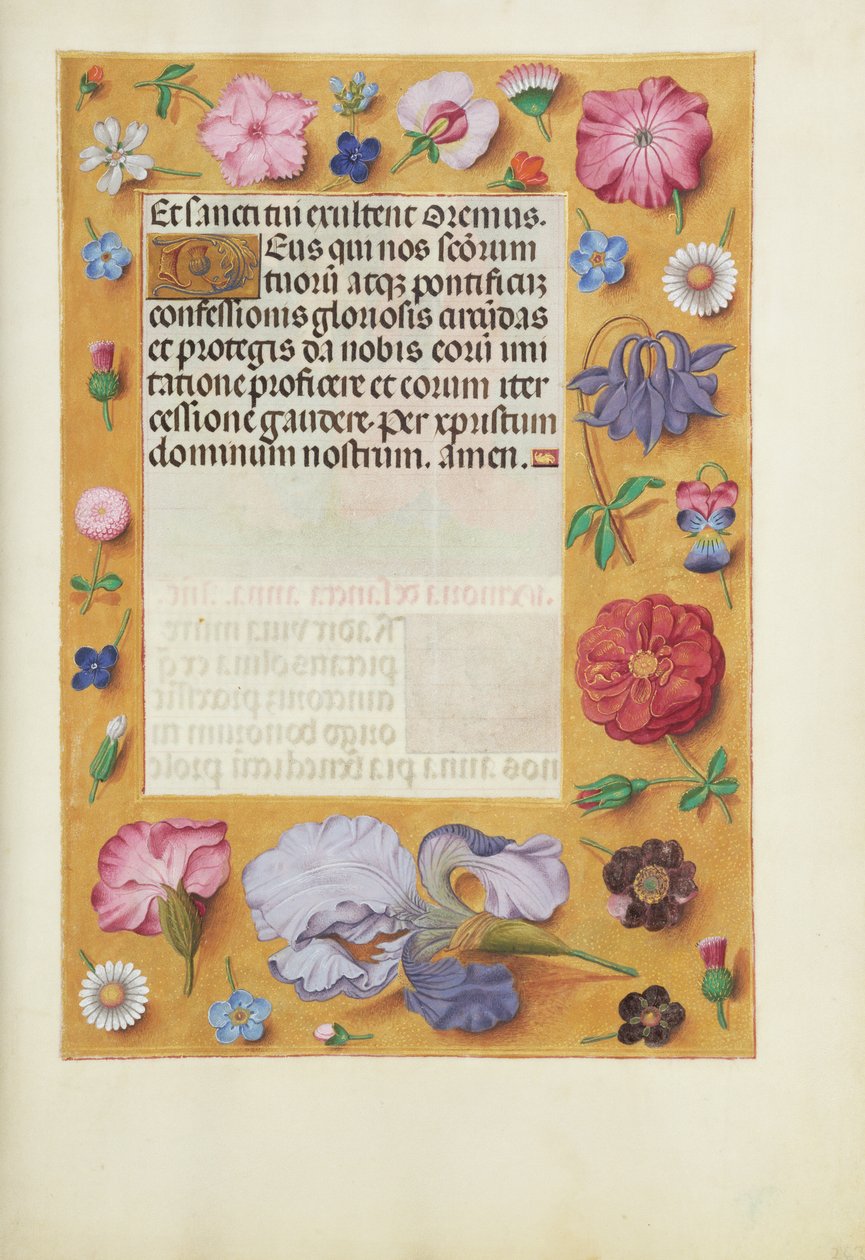 Página de texto decorada de Unknown artist