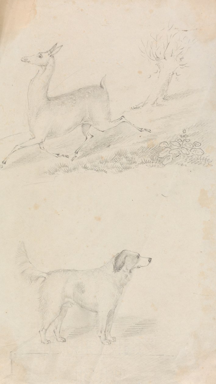 Veado e Cão de Unknown artist