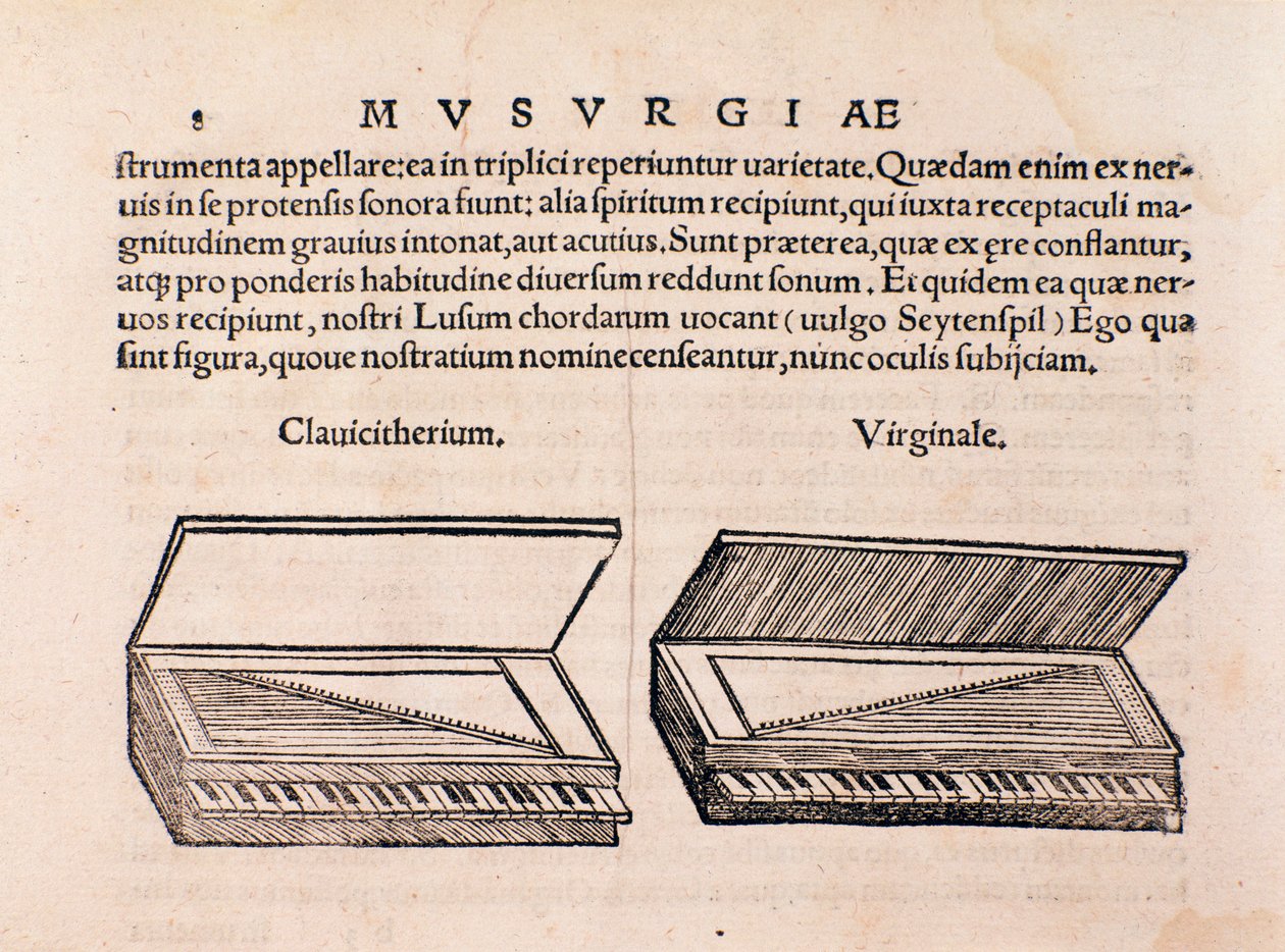 Descrição de cravo e spinet. Página de Musurgia sua praxis musicae de Unknown artist