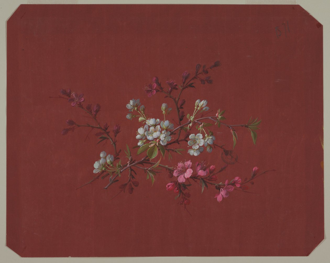 Design para papel de parede e têxteis: flores de Unknown artist