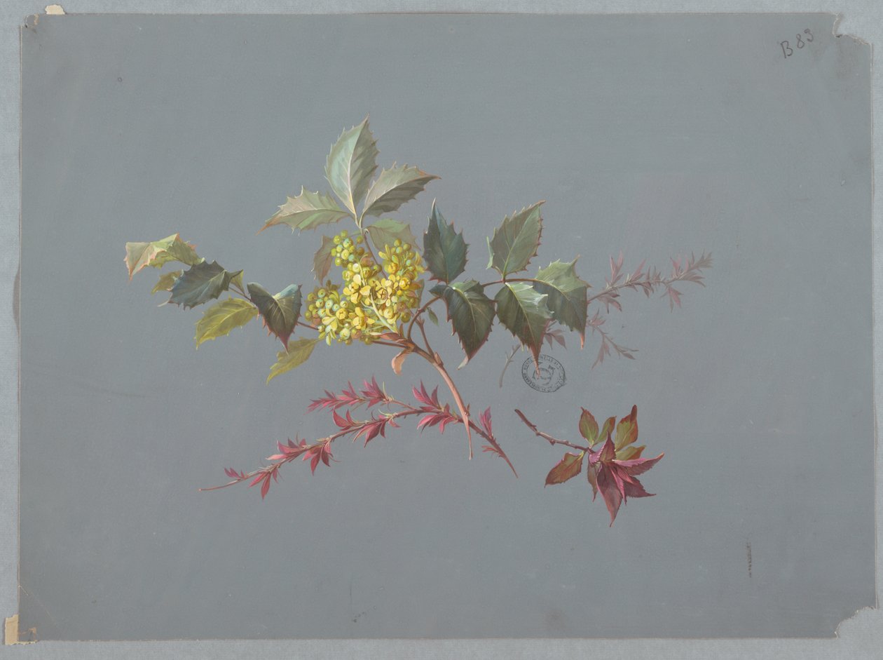 Design para papel de parede e têxteis: flores de Unknown artist