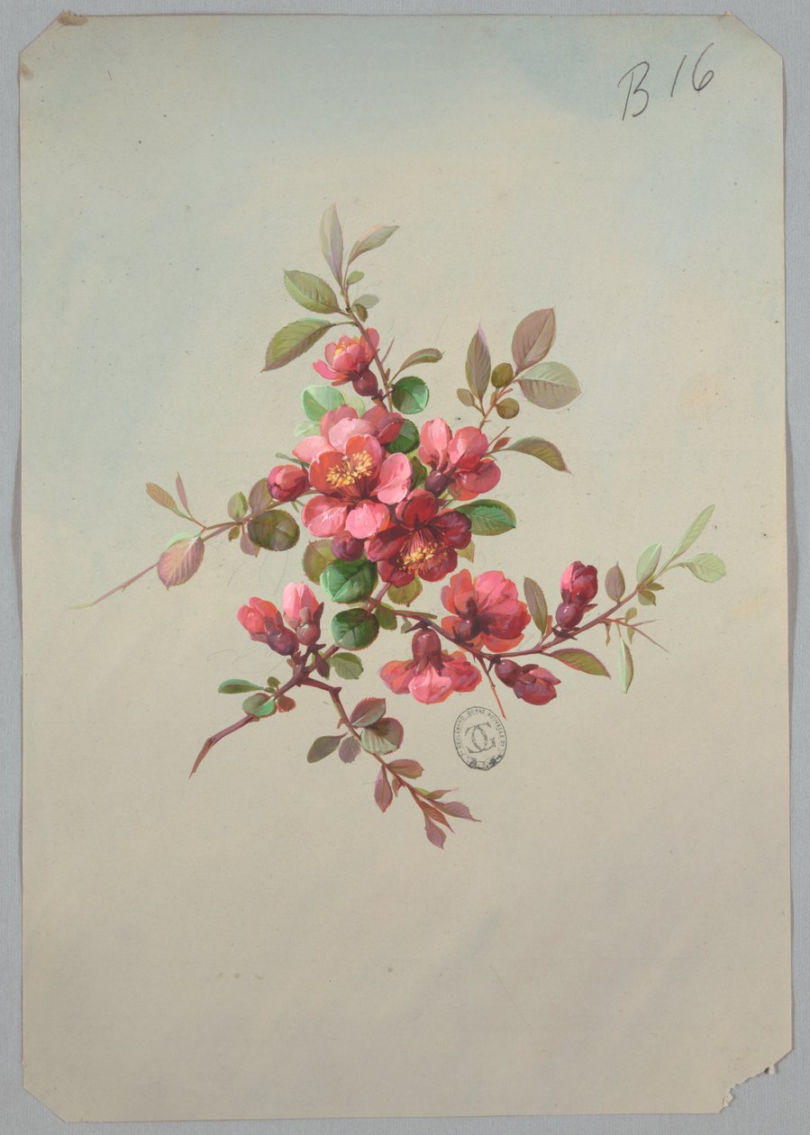 Design para papel de parede e têxteis: flores de Unknown artist