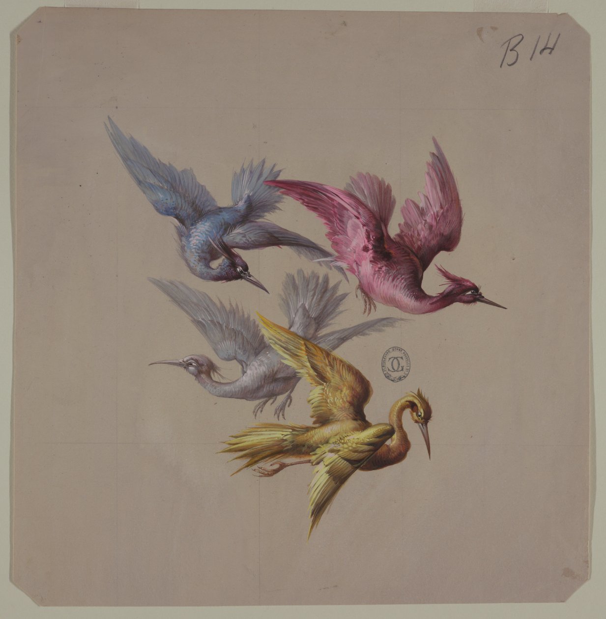 Designs para papel de parede e têxteis: pássaros de Unknown artist