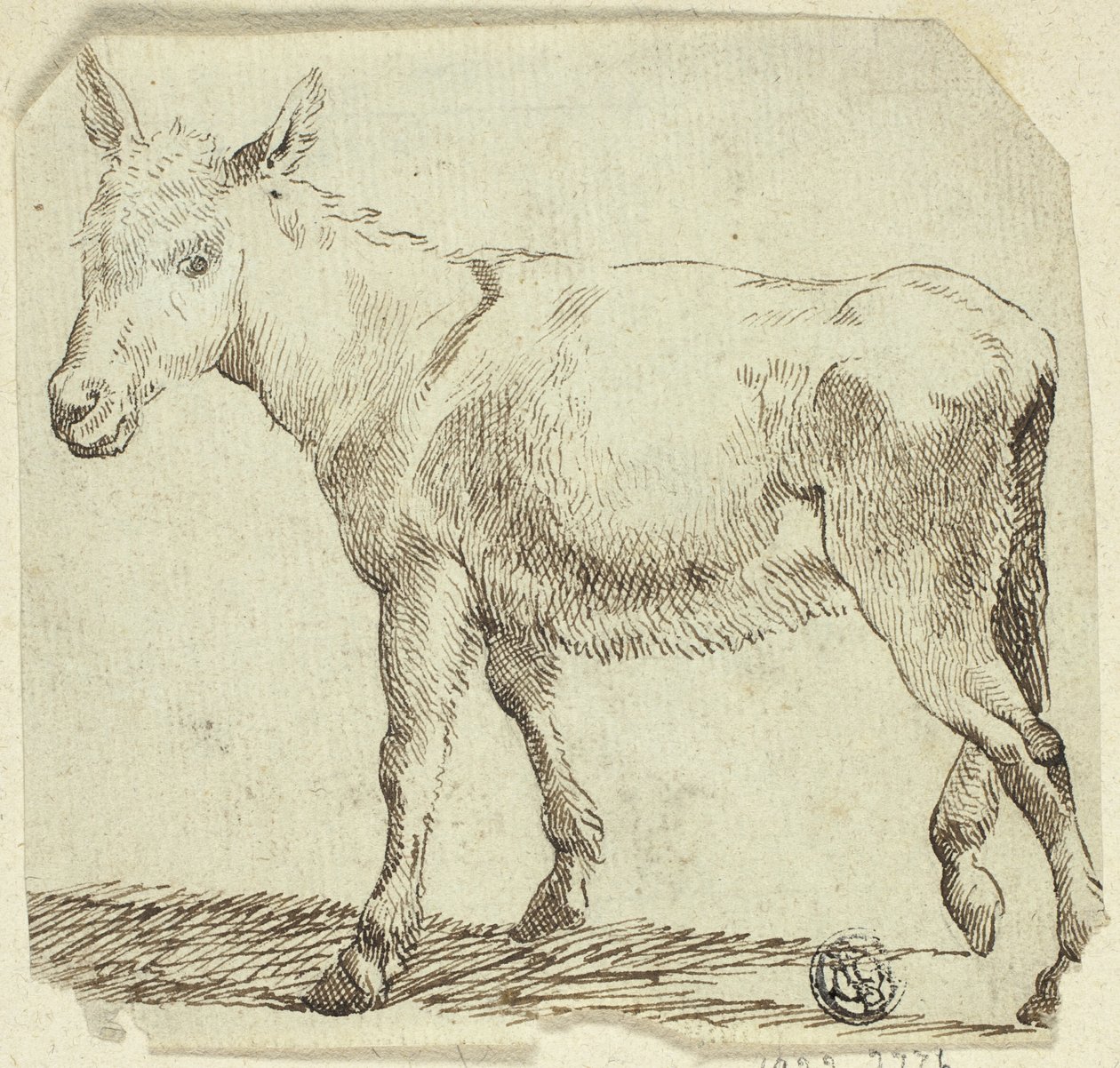 Burro de Unknown artist
