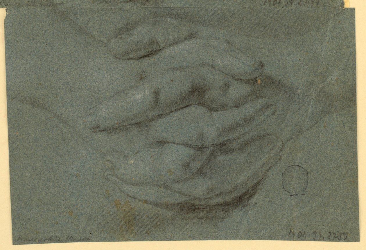 Desenho: Um estudo para mãos dobradas de Unknown artist