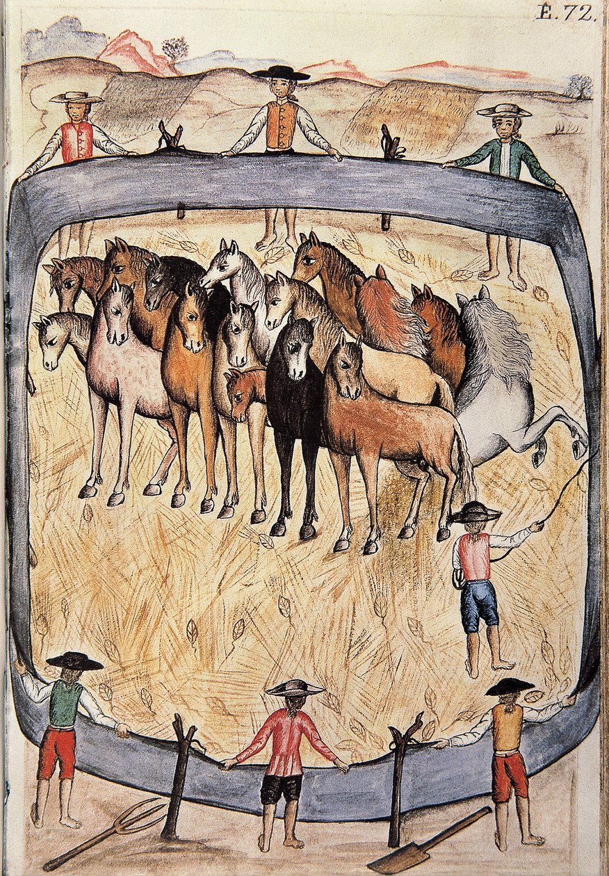 Dressage de cavalos selvagens, do livro "Trujillo del Peru" ou "Códice Martínez Compañón", de Baltazar Martinez Compañón y Bujanda, bispo de Trujillo (1782-1785) de Unknown artist