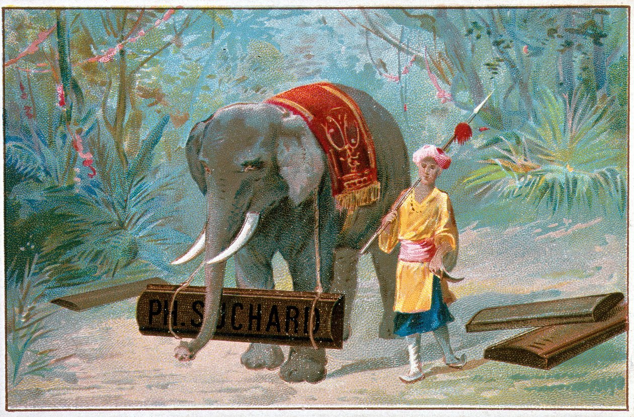 Elefante e Cornac, publicidade "Suchard", v. 1895 de Unknown artist