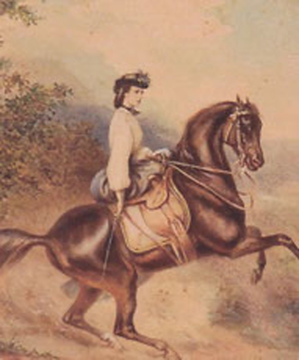 Elisabeth, Imperatriz da Áustria e Rainha Consorte da Hungria (24 de dezembro de 1837 - 10 de setembro de 1898) (ilustração) de Unknown artist