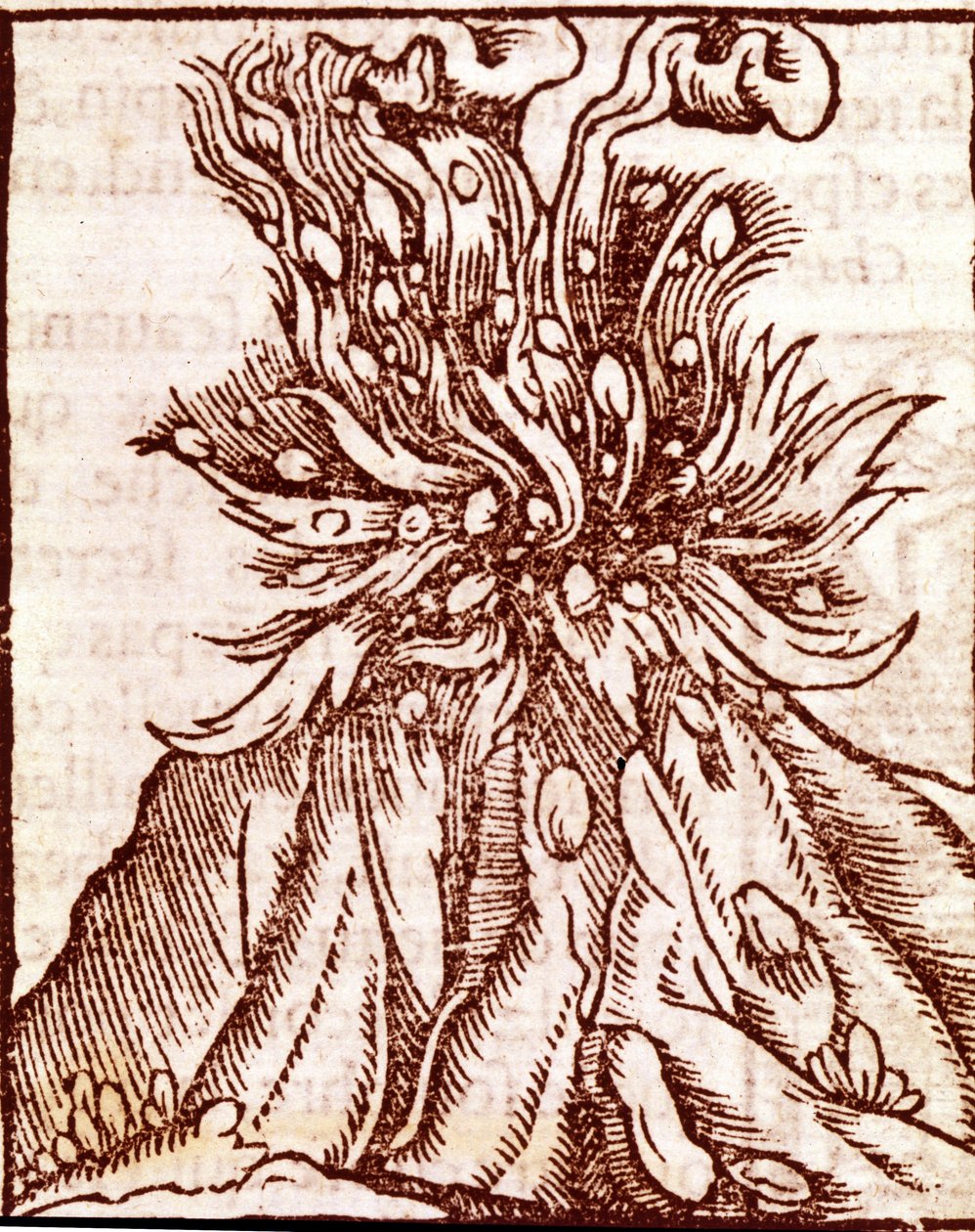 Erupção de um vulcão. Gravura do século XVI. de Unknown artist