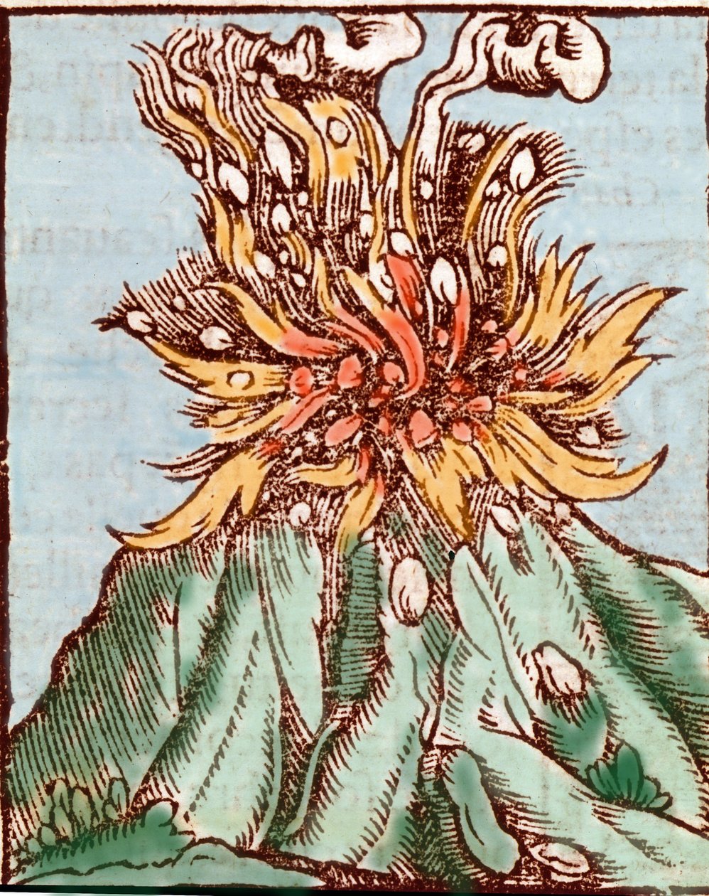 Erupção de um vulcão. Gravura do século XVI. de Unknown artist