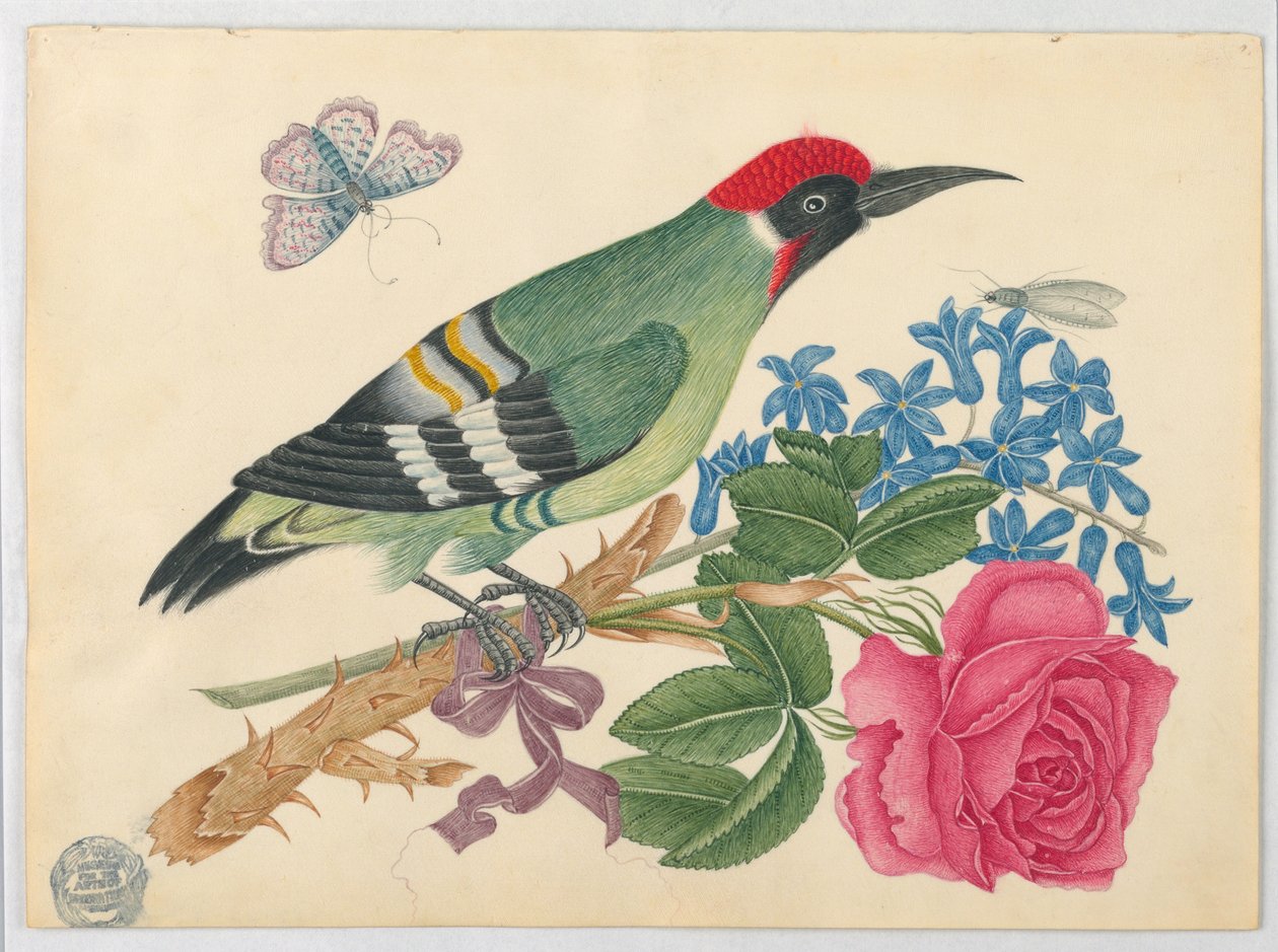 Pica-pau verde europeu no galho com rosa e miosótis de Unknown artist