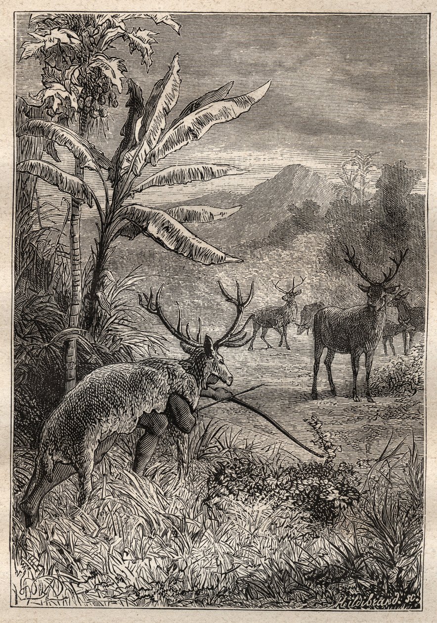 Expedição ao redor do mundo (1785-1788) por Jean Francois Galaup de La Perouse (1741-1788): técnica de caça para os índios da Baía de Monterey (Califórnia) - ilustração de "The Grands Mariners of the 18 century". de Unknown artist