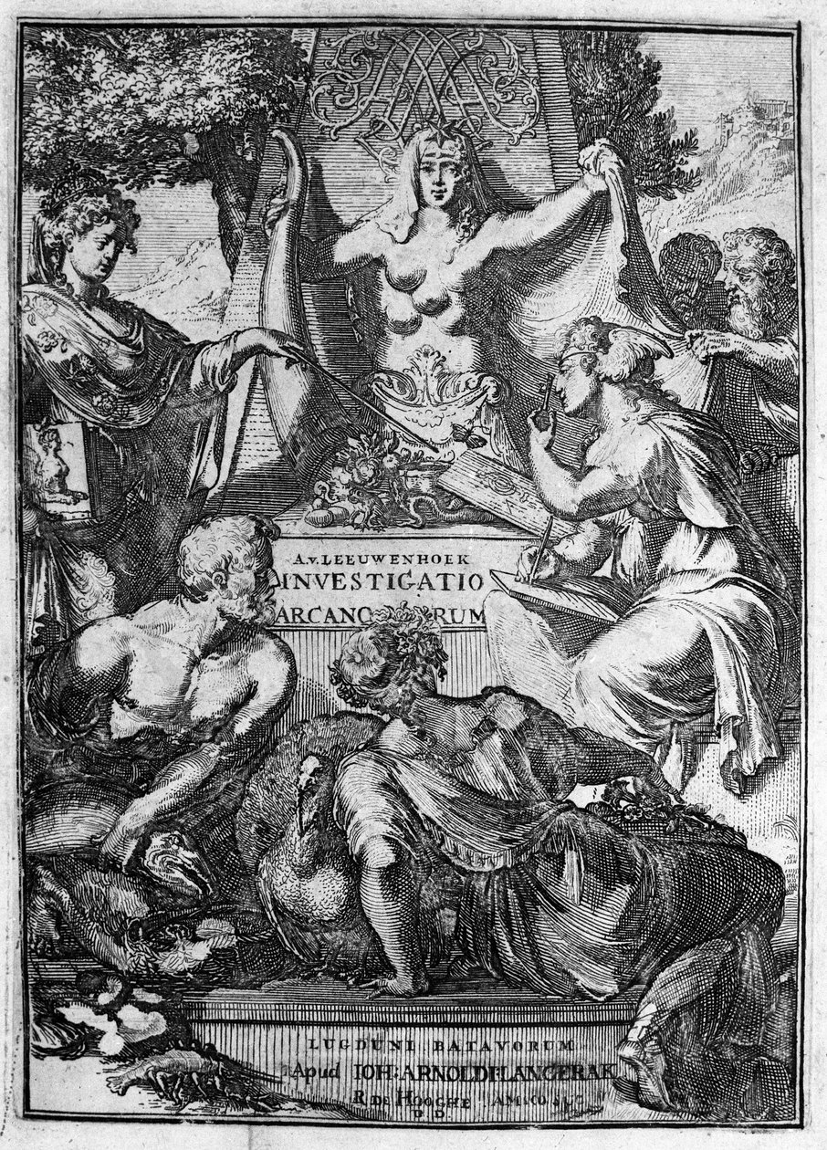 Falso título da obra "Investigato Arcanorum" do comerciante e estudioso holandês Antoine van Leeuwenhoek (ou Leeuvenhoek Leeuwenhoeck) (ou Antoni ou Anthonie) (1632-1723) 1722. de Unknown artist