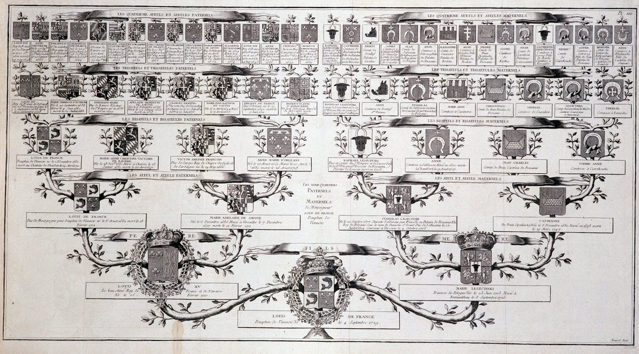 Árvore genealógica do golfinho da França, filho de Luís XV e Marie Leczcinski - in "Encyclopedia" de Diderot de Unknown artist