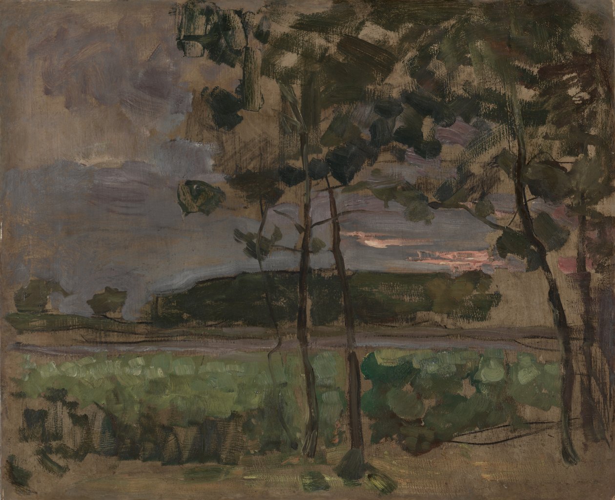 Campo com árvores jovens em primeiro plano de Unknown artist