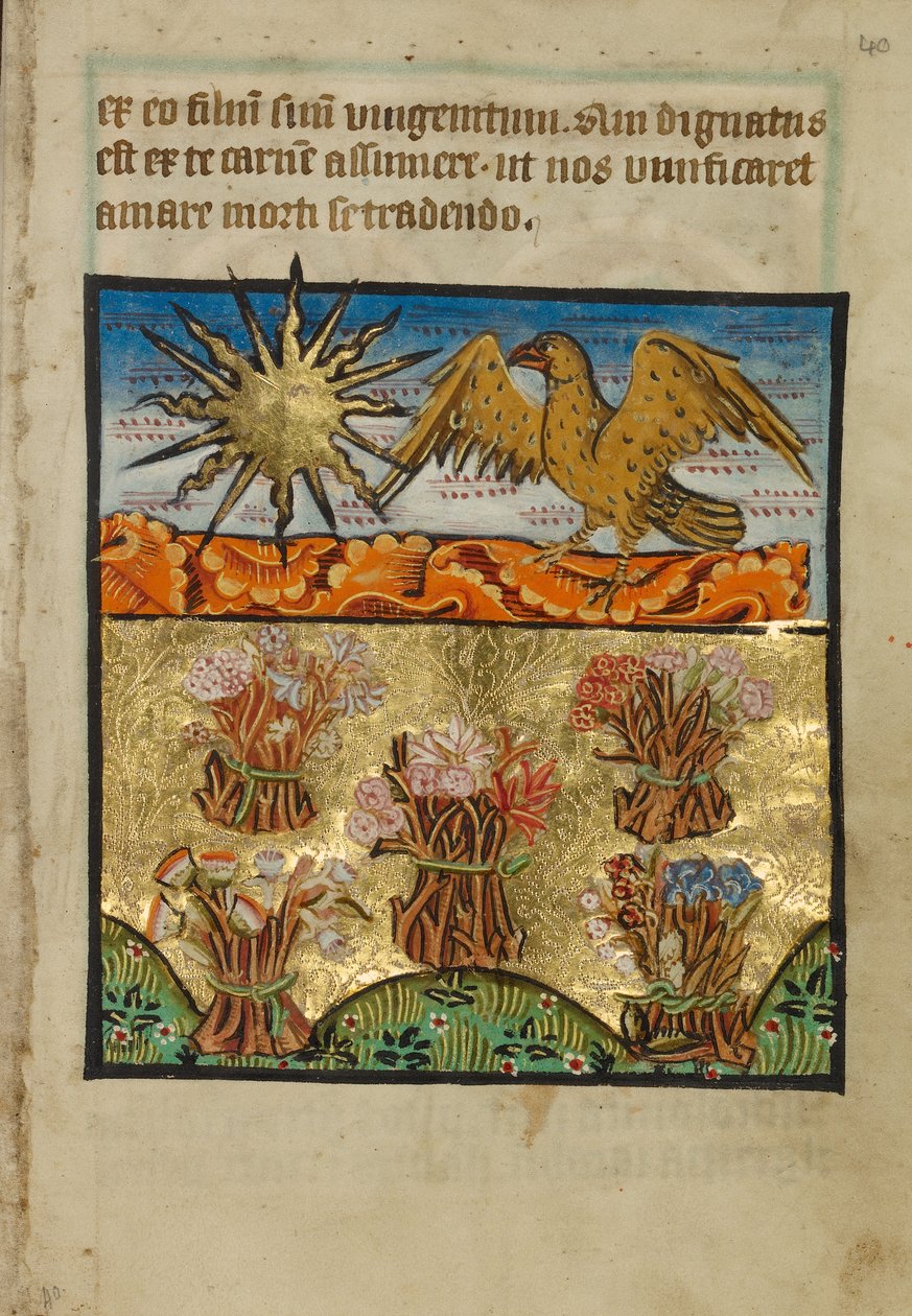 Cinco cachos de flores de Unknown artist