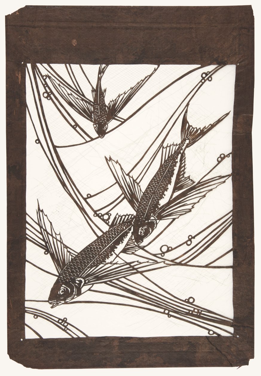 Peixe voador de Unknown artist