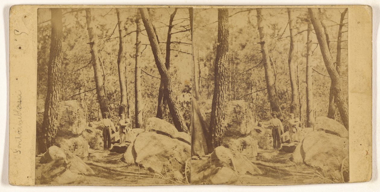 [Fontainebleau] de Unknown artist