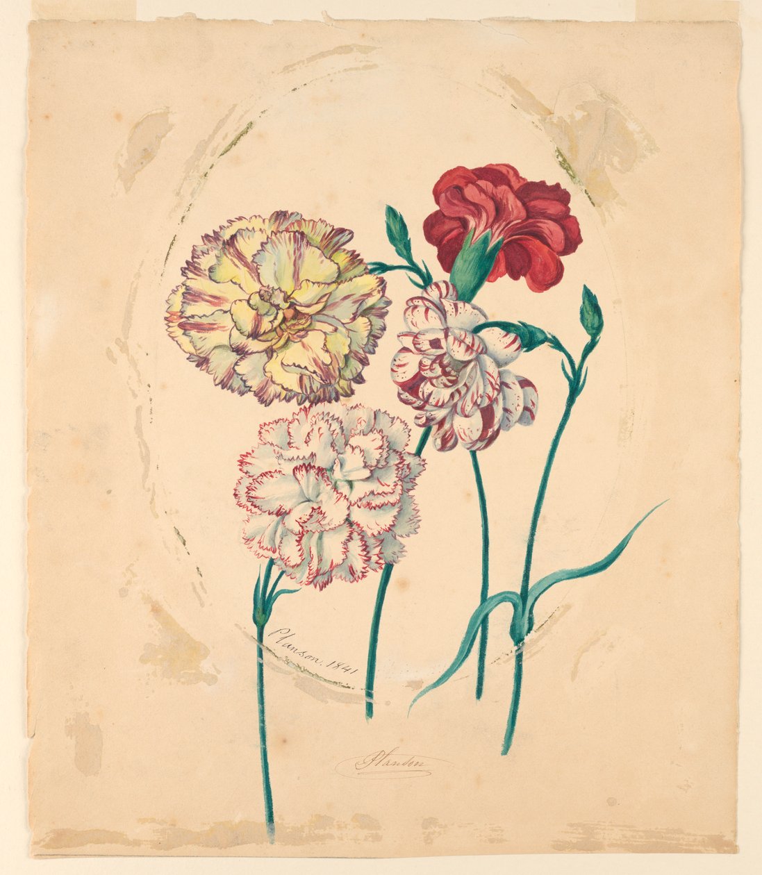 Quatro cravos de Unknown artist