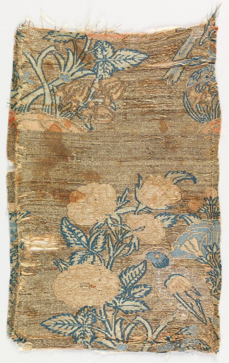 Fragmento de Unknown artist