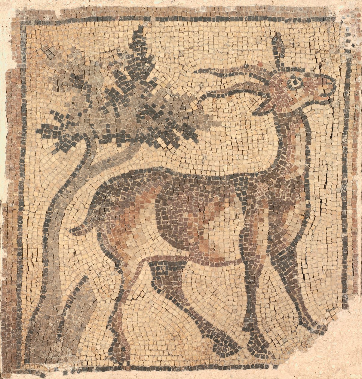 Fragmento de um mosaico de chão: Ibex perto de uma árvore de Unknown artist