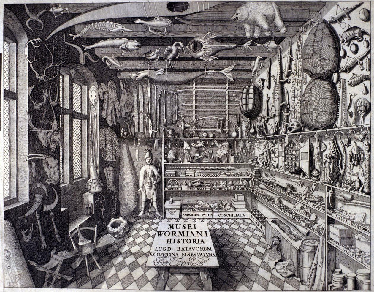 Frontispício de "Musei Wormiani Historia" mostrando o interior do gabinete de curiosos de Ole Worm ou Olaus Wormius de Unknown artist
