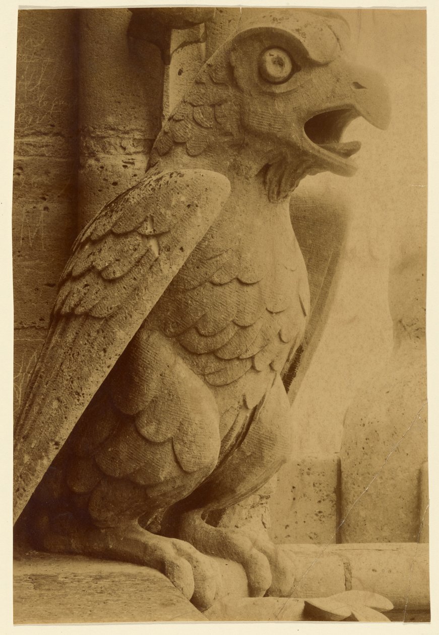 [Gárgula, Notre-Dame] de Unknown artist